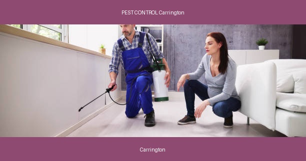PEST CONTROL Carrington